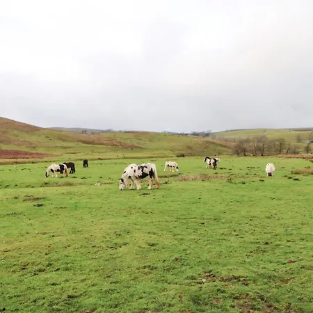 Clover * Kirkby Stephen