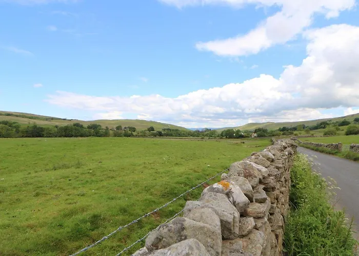 Clover * Kirkby Stephen