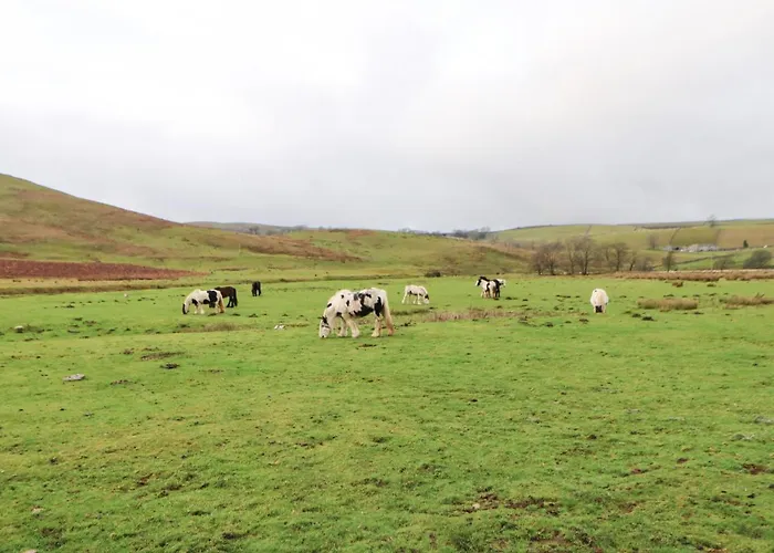 Clover * Kirkby Stephen